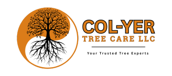 Logo for Col-Yer Tree Care LLC with a tree inside a yin and yang symbol and text.