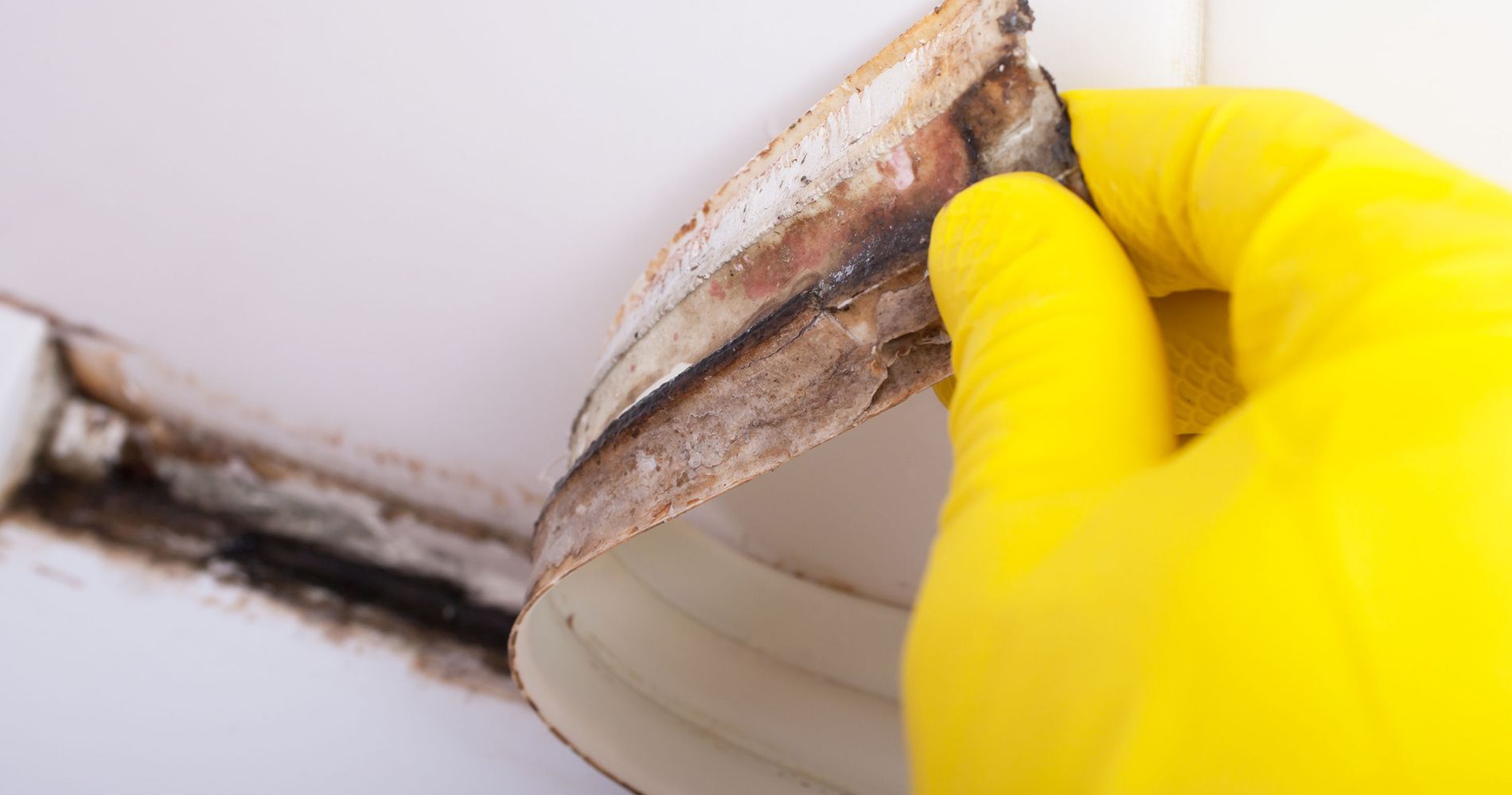 Mold Removal Rest Easy Mold Control Ocean County, NJ