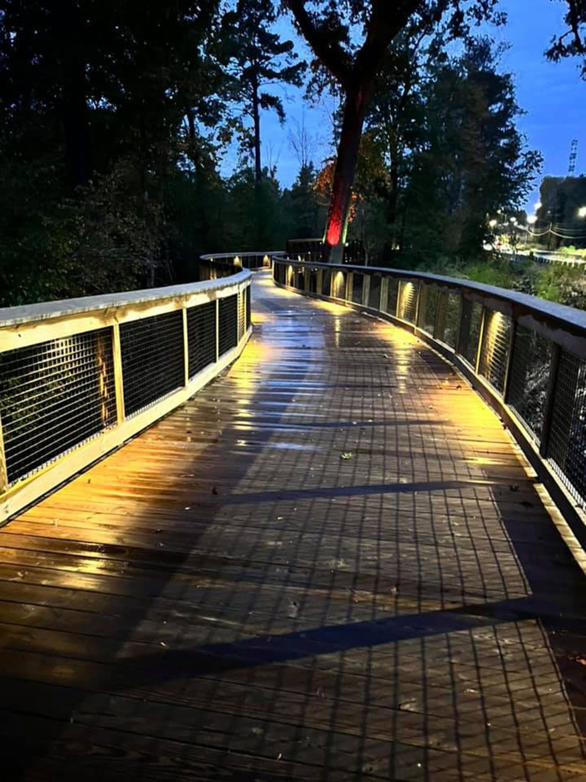 A wooden bridge is lit up at night with trees in the background