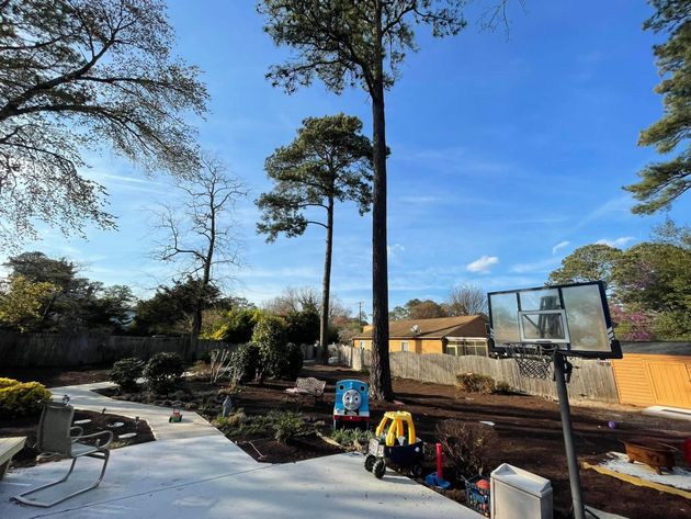 Backyard under construction with basketball hoop, trees, and scattered tools on a sunny day
