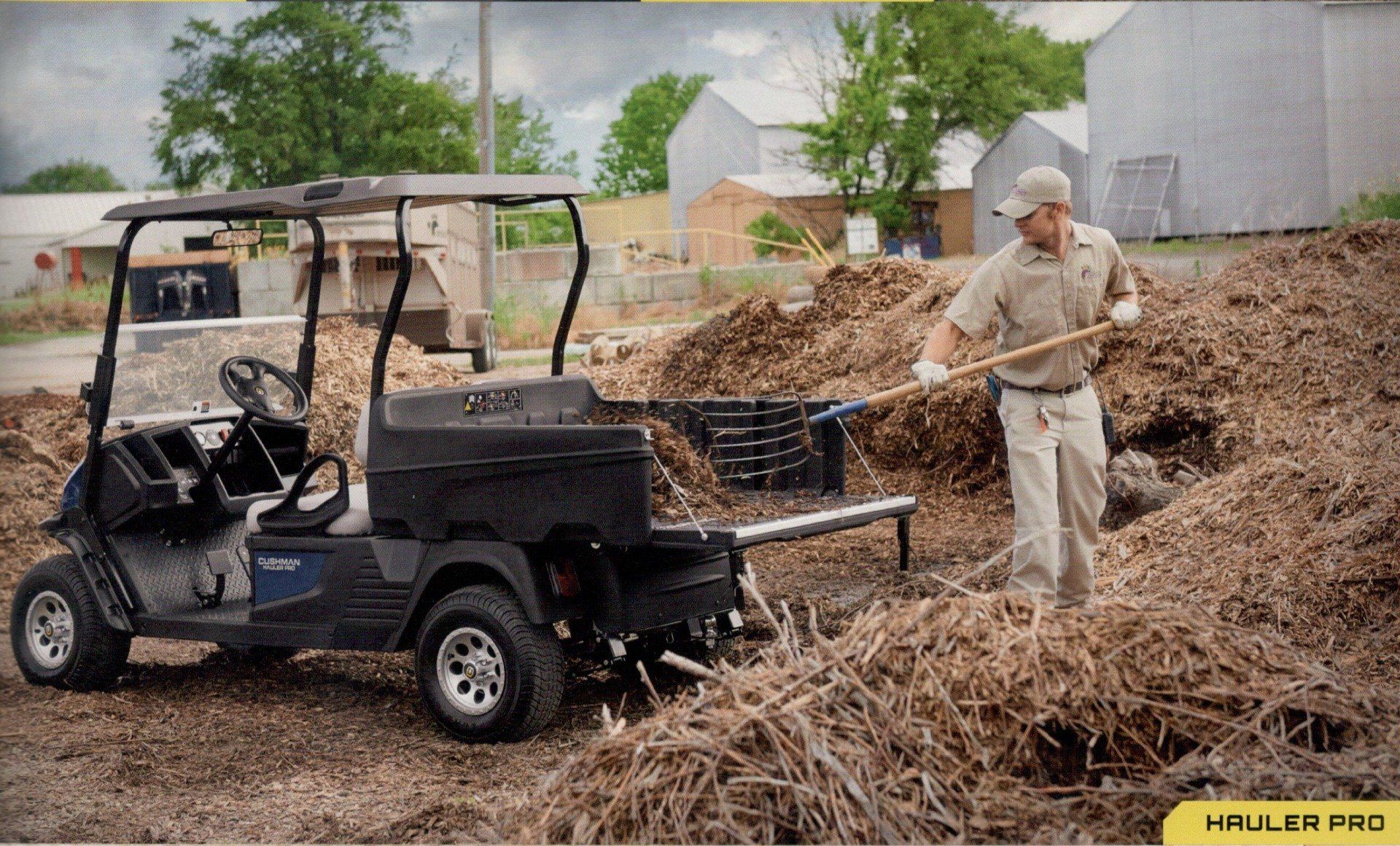 Miller & Sons Golf Cars Cushman Haulers Britt, IA