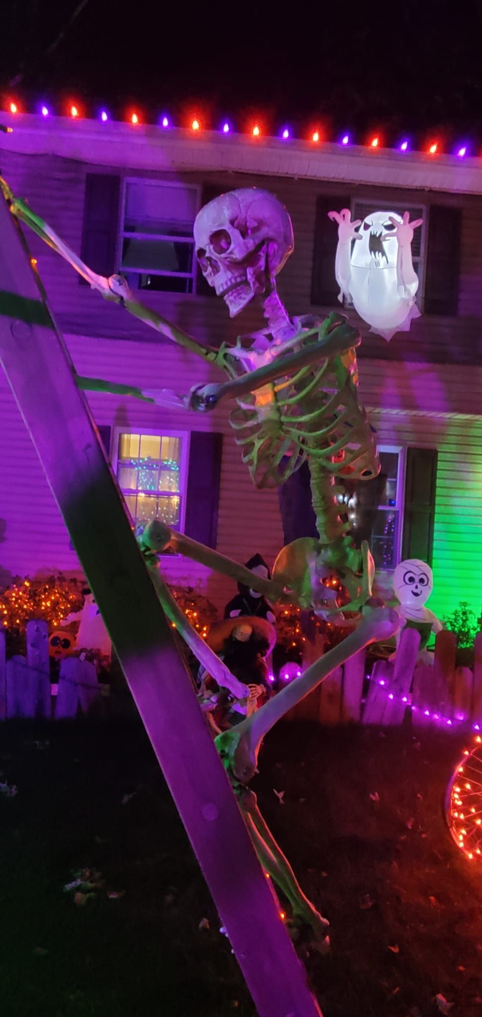 A large skeleton climbing a tree decorated for Halloween; ghost in its hand.