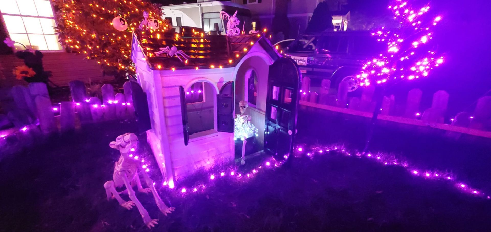 A Halloween yard display with a small white church, skeleton dog, and purple lights.