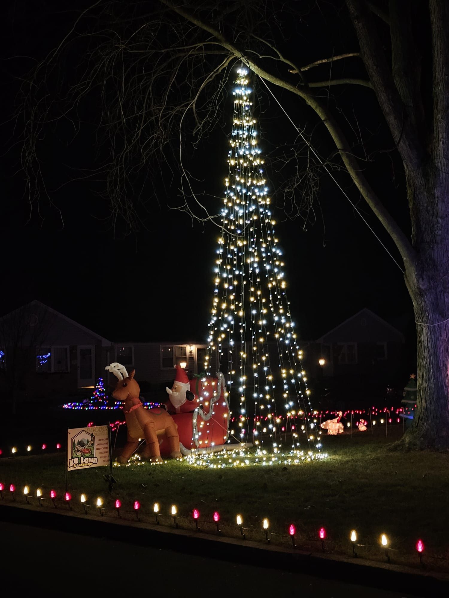 Christmas lights display: Illuminated tree shape with Santa and reindeer, suburban neighborhood at night.