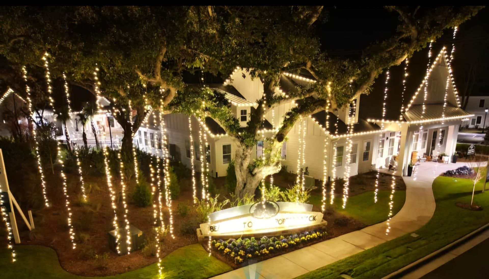 House and large tree decorated with twinkling lights at night.
