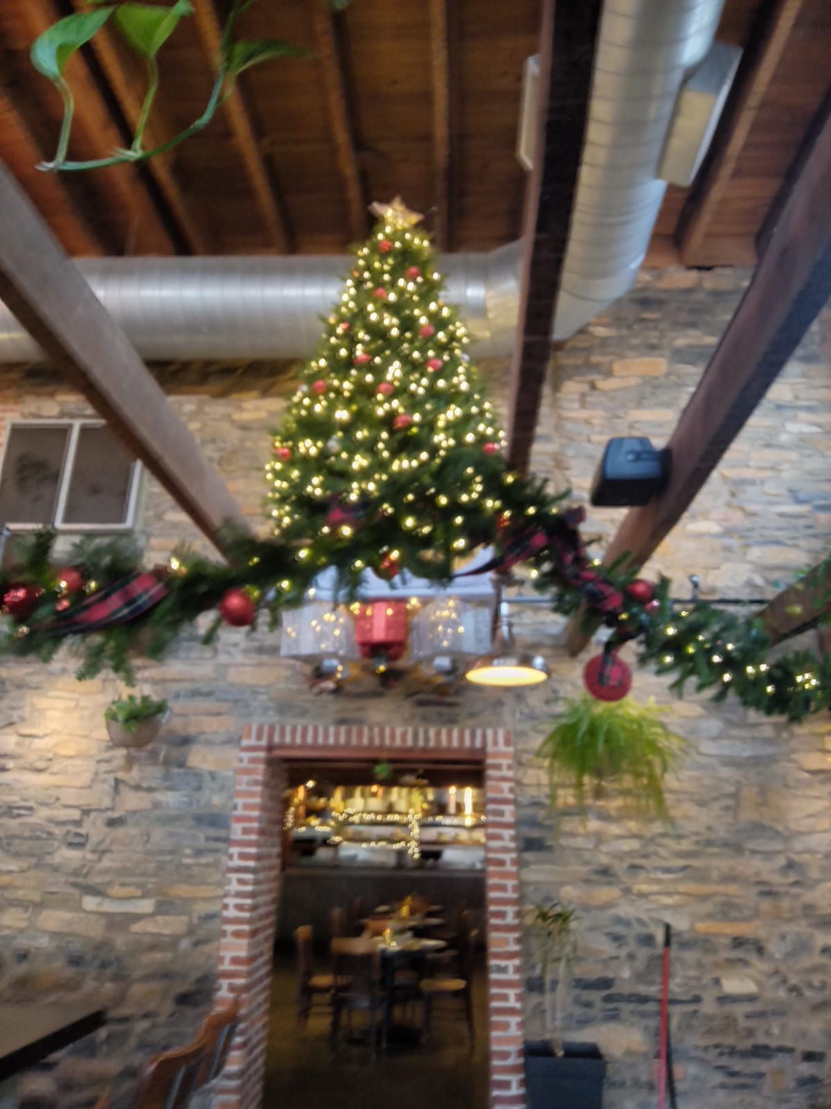 Christmas tree with lights and ornaments is above a doorway in a brick and wood-beam building.