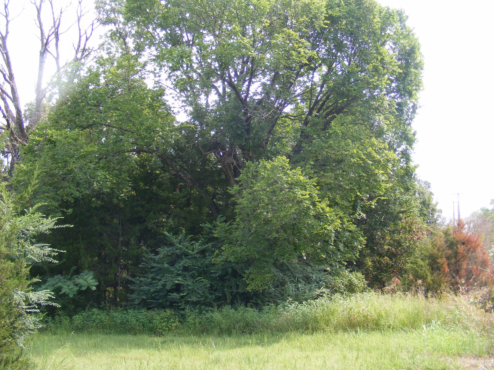 Pottawatomie County Real Estate Woodlake Properties