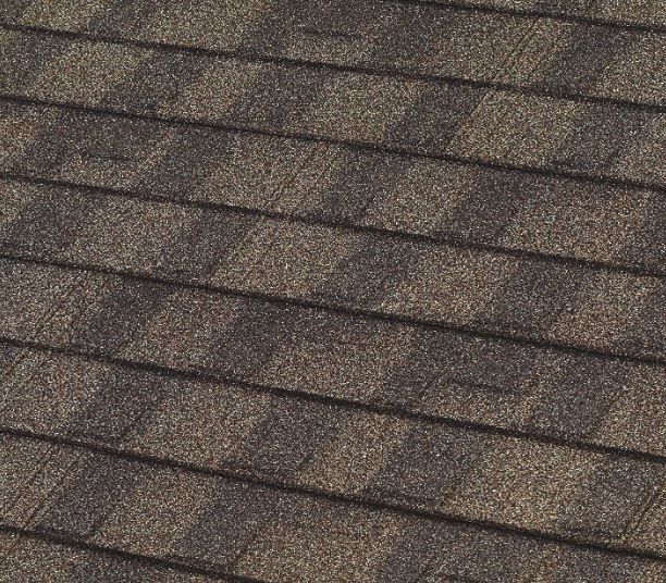 Close-up view of a brown asphalt shingle roof.