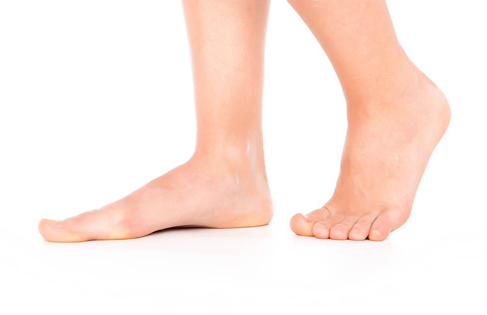 Foot