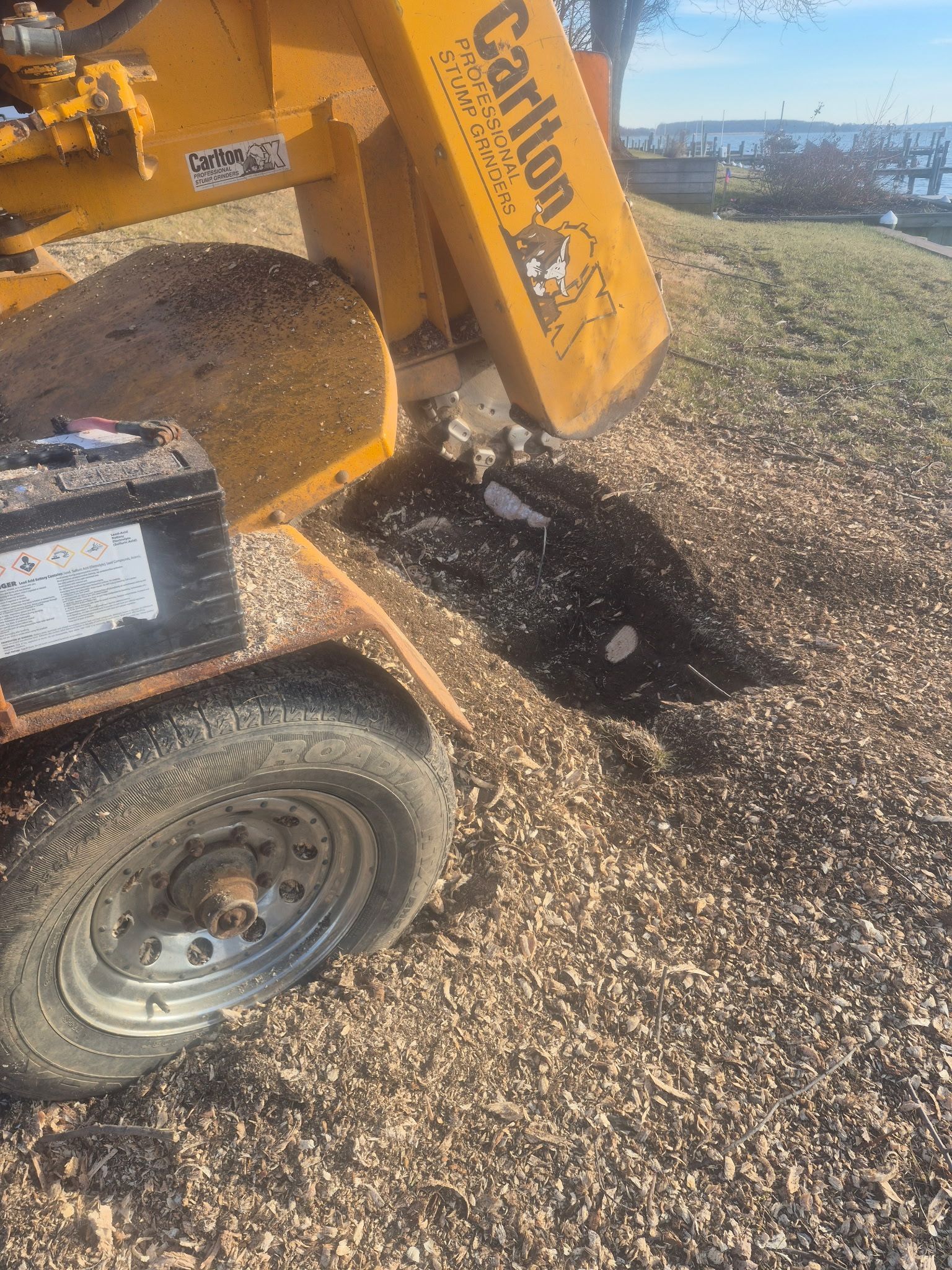 A yellow Carlton stump grinder grinding wood chips near a body of water on a sunny day.