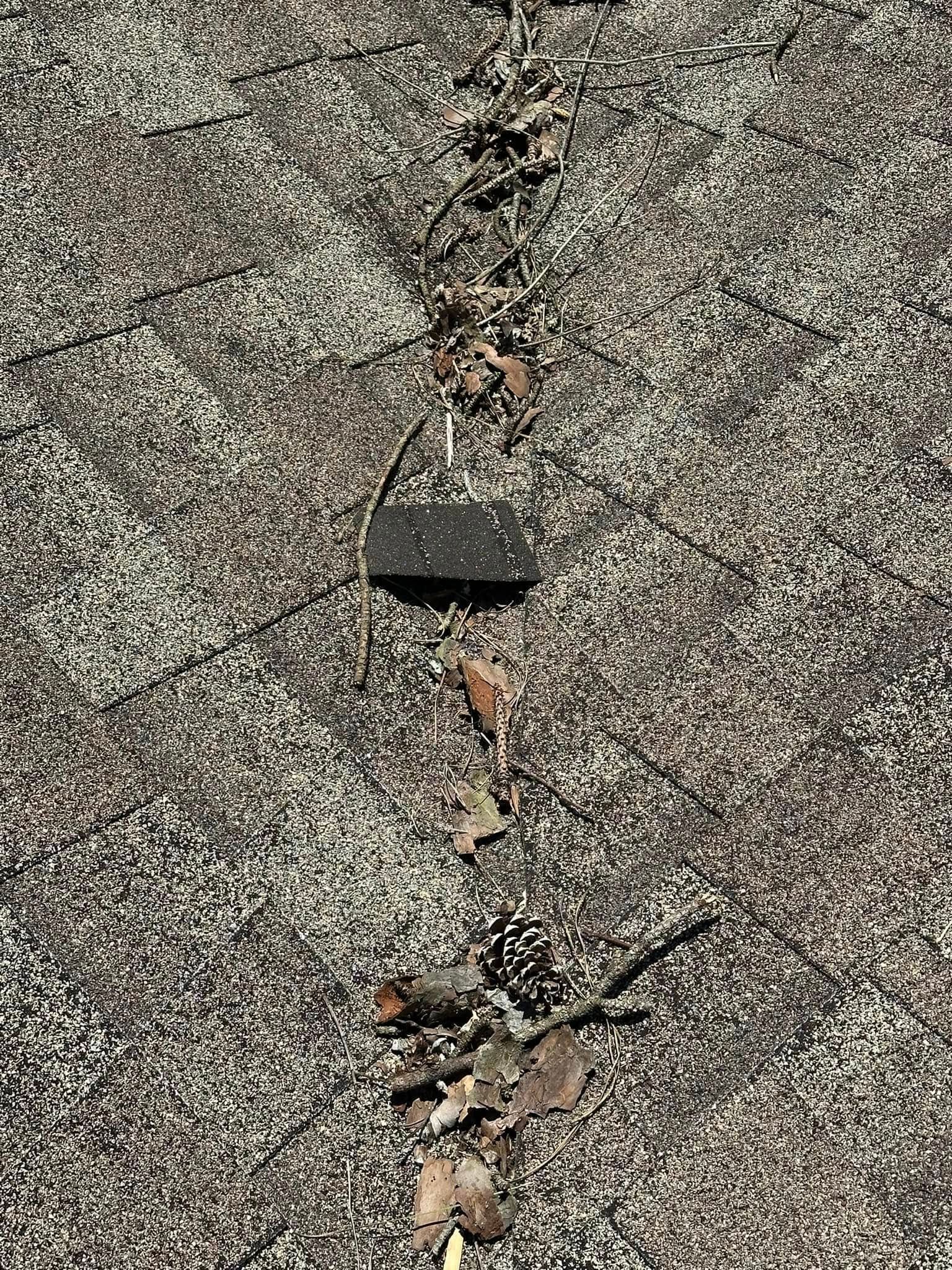 Close-up of a weathered, textured surface with a dark object and scattered leaves along a line.