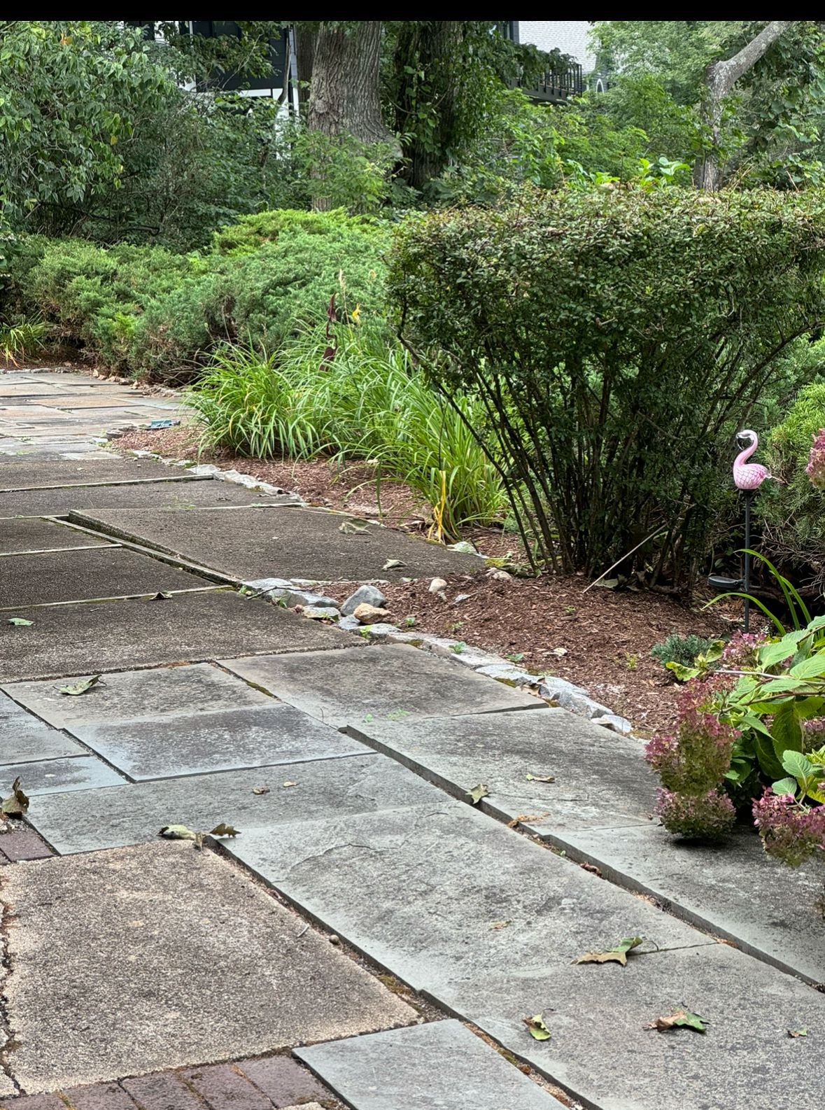 Curved stone garden path beside lush green shrubs and a small pink flamingo lawn ornament