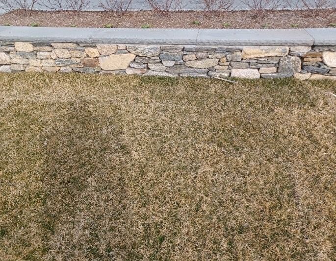 Dry brown lawn beside a low stone retaining wall and concrete ledge.