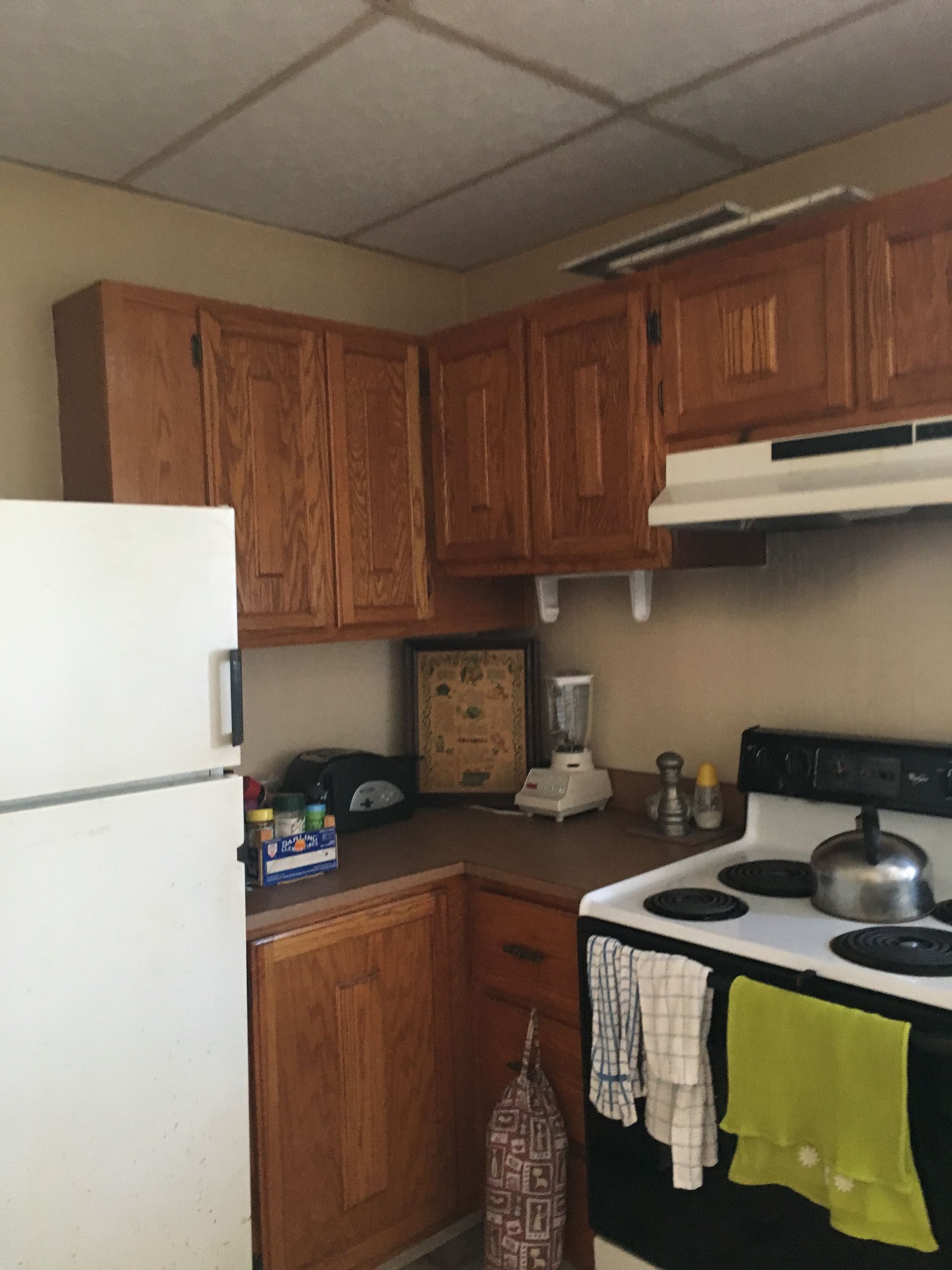 Small kitchen with white refrigerator, wooden cabinets, stove, and hanging dish towels.