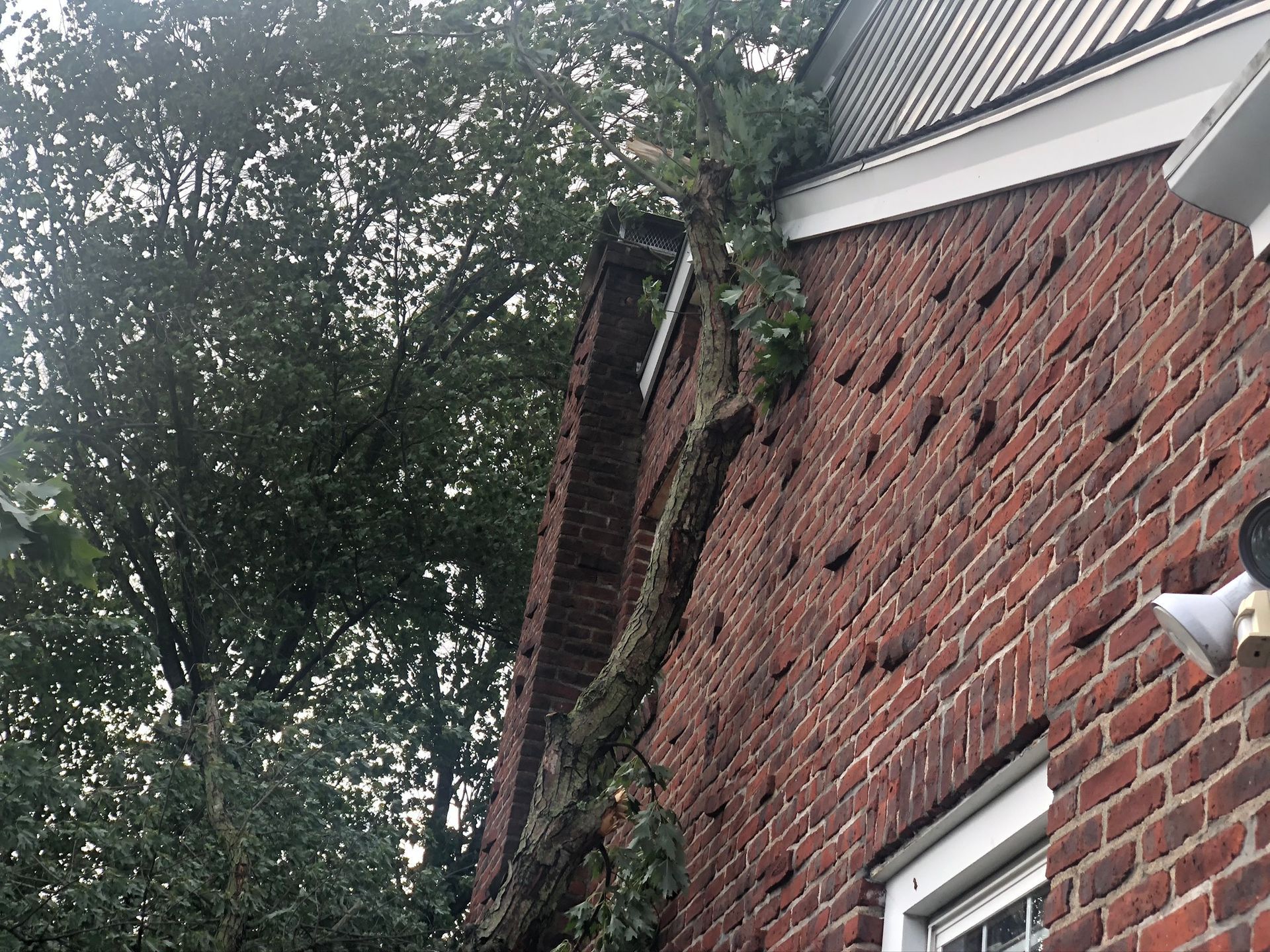Brick house wall with a damaged, leaning gutter beside a tree canopy