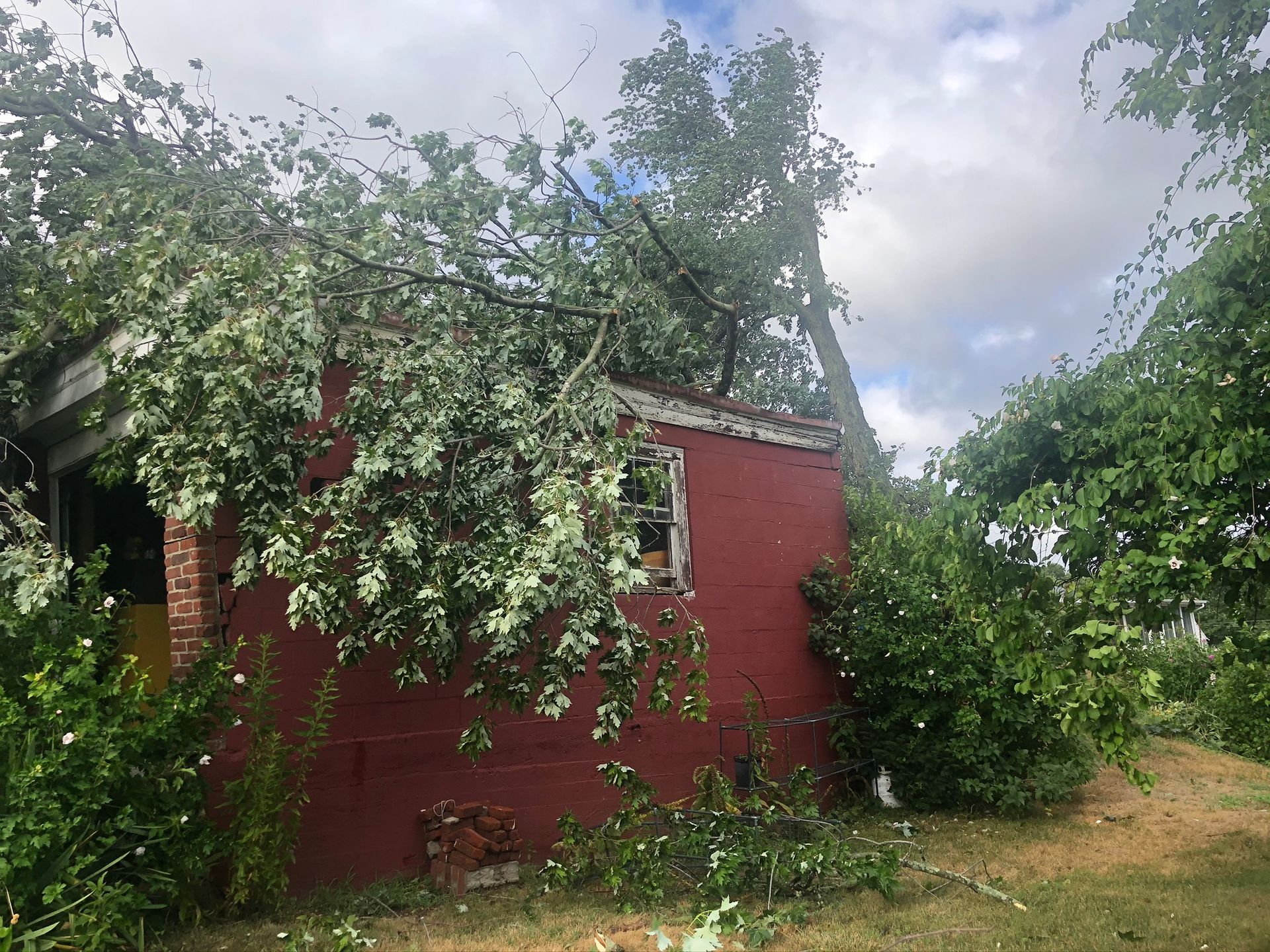 Red house partly covered by fallen tree branches in a grassy yard under cloudy sky