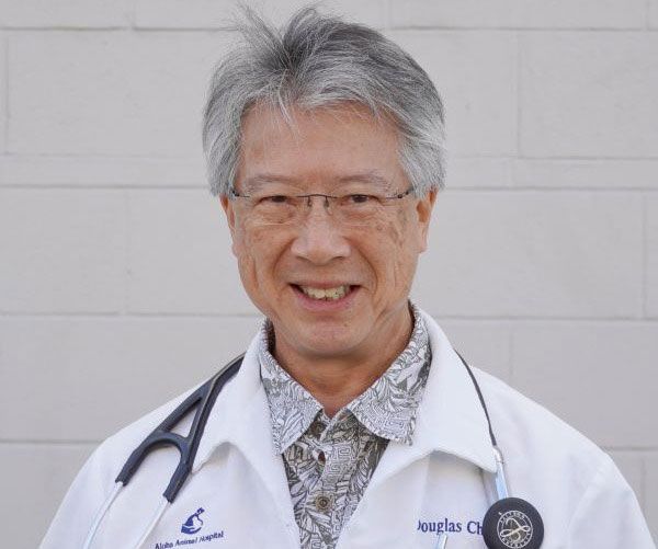 Smiling doctor with gray hair and glasses wearing a stethoscope and lab coat.