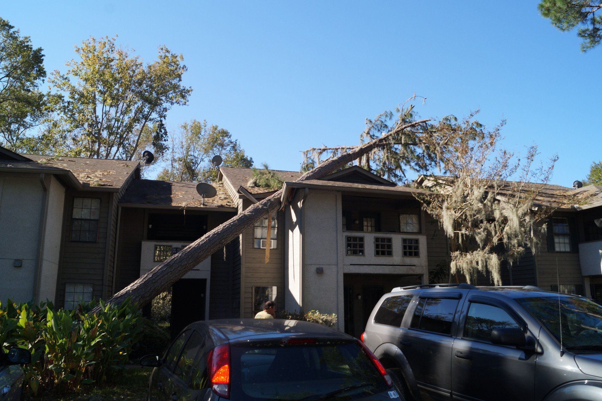 Storm damage clean-up