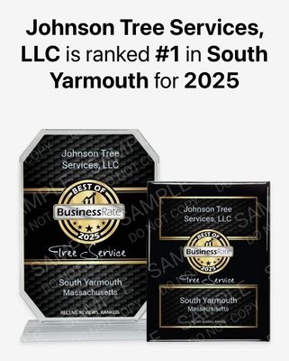 Johnson Tree Services, LLC #1 in South Yarmouth for 2025