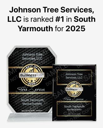 Johnson Tree Services, LLC #1 in South Yarmouth for 2025