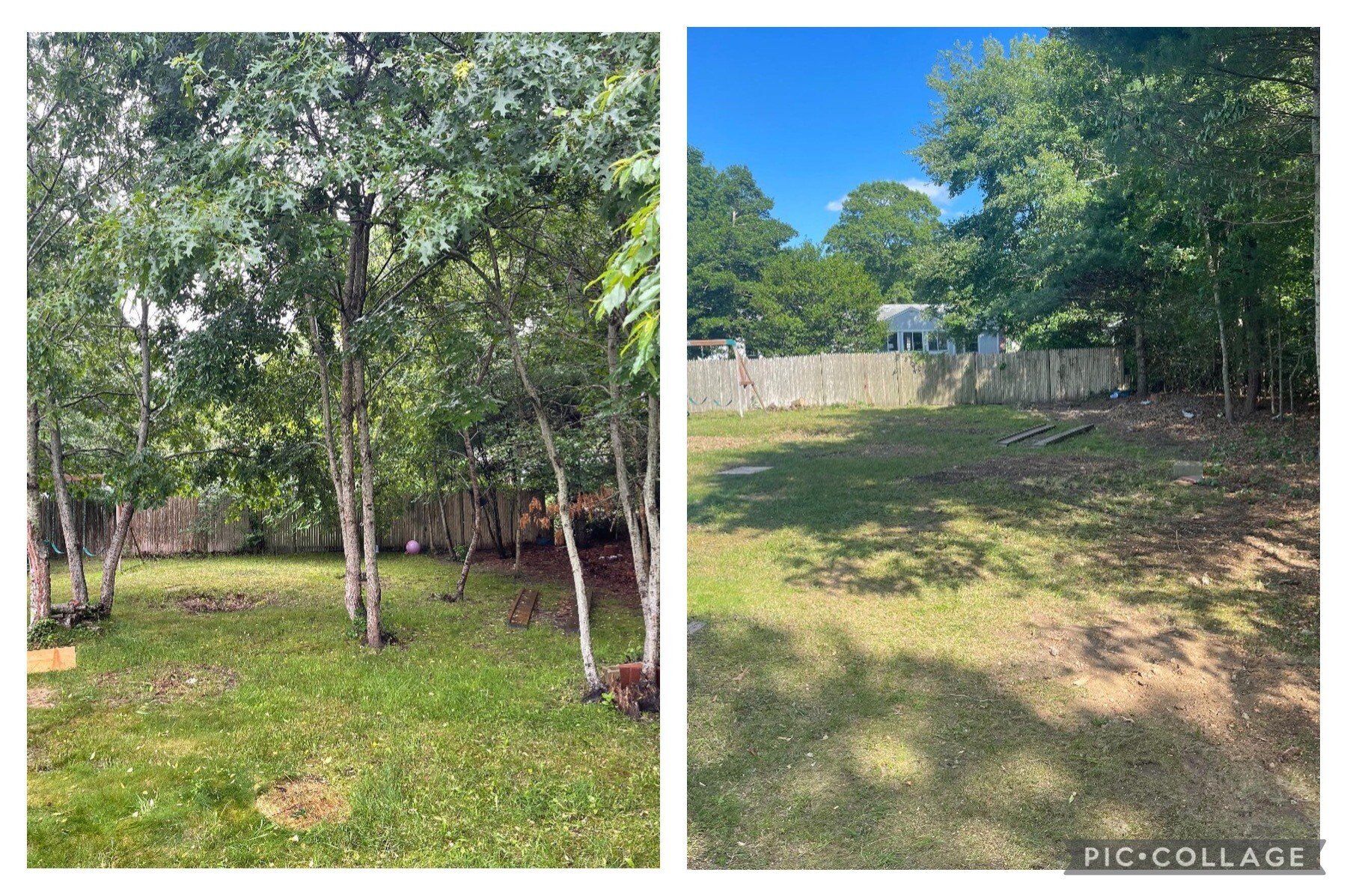 Before and after tree removal