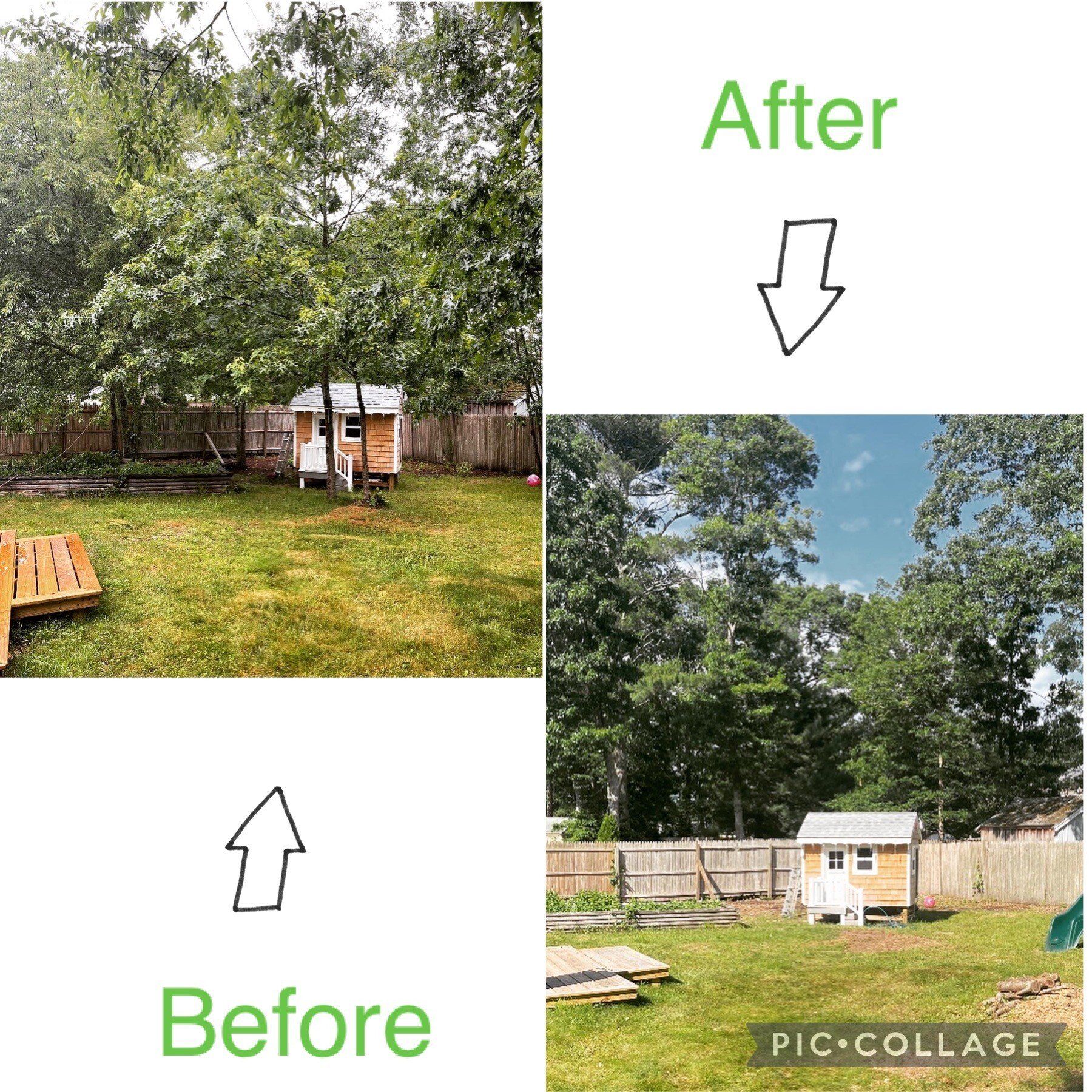 Before and after tree removal