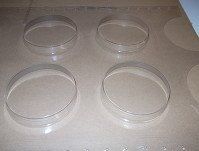 thermoforming equipment