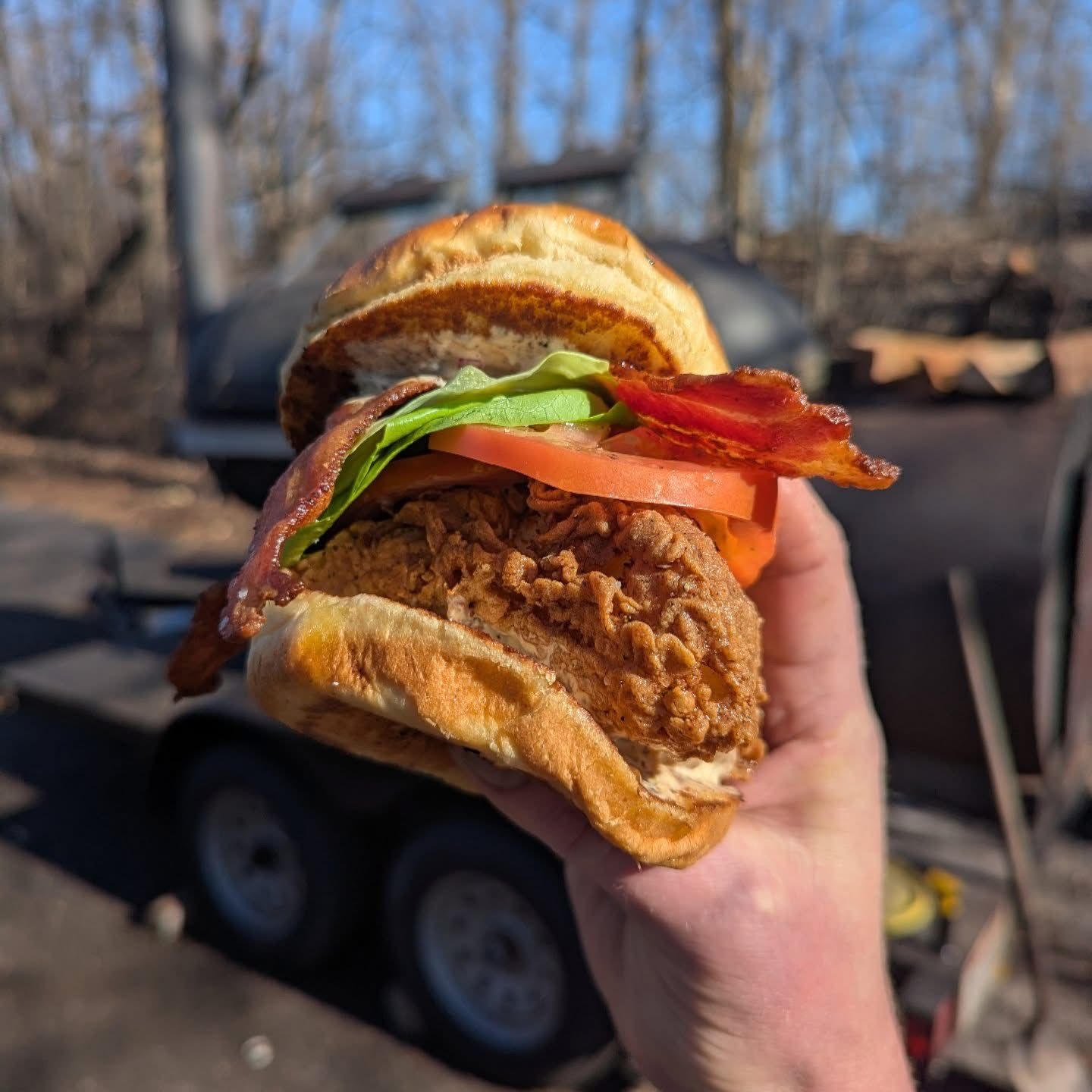 A person is holding a chicken sandwich with bacon , lettuce and tomatoes.