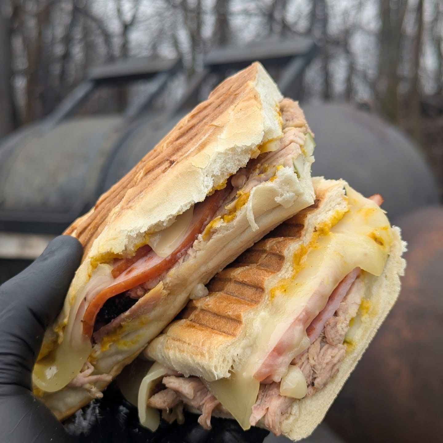 A person is holding two sandwiches in their hand.