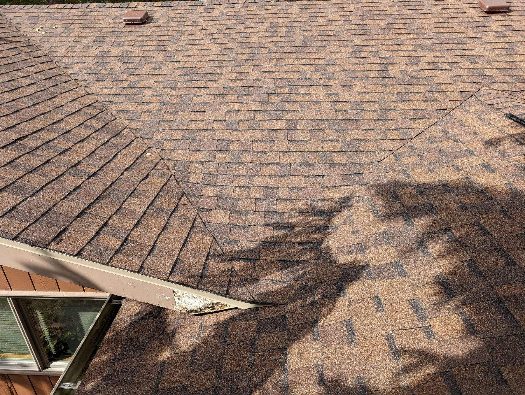 Brown shingled roof with a shadow cast across it, and a section of a white-trimmed window.