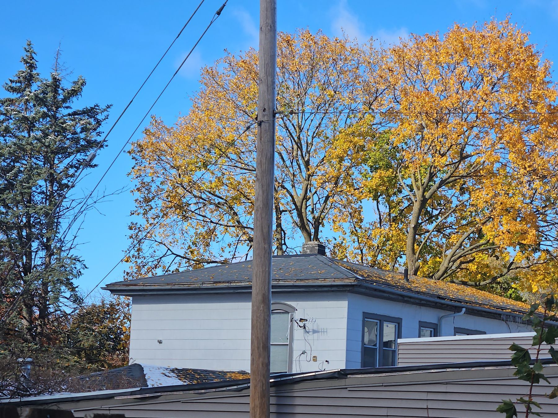 Blue house with gray roof, autumn trees with yellow leaves, and a utility pole.