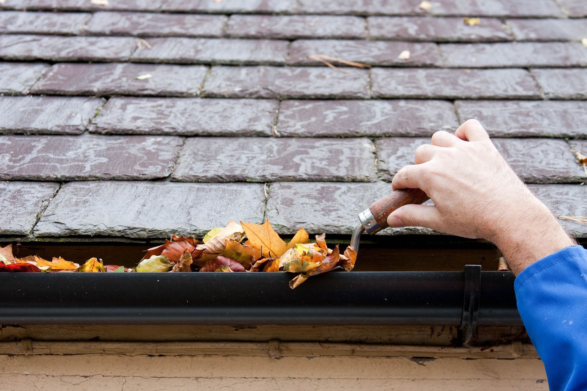 Person cleaning leaves from a gutter on a roof.