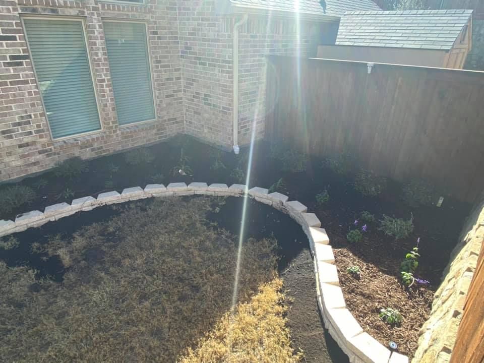 Side of the house landscaping