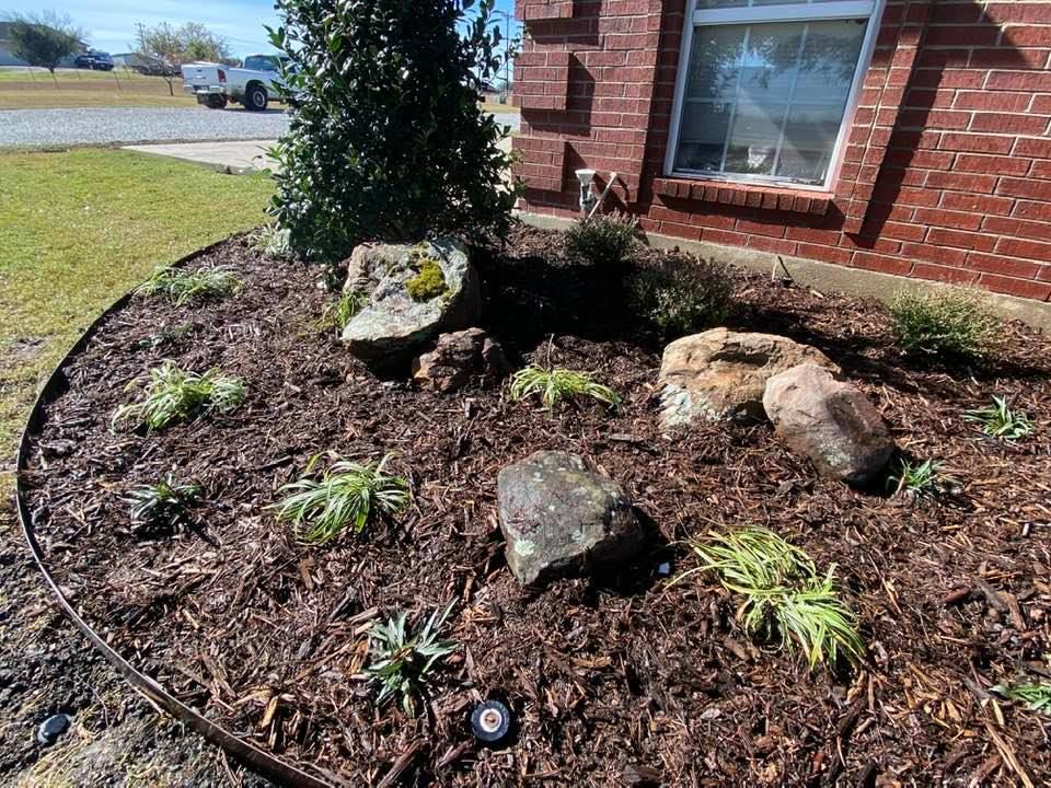 Newly planted garden