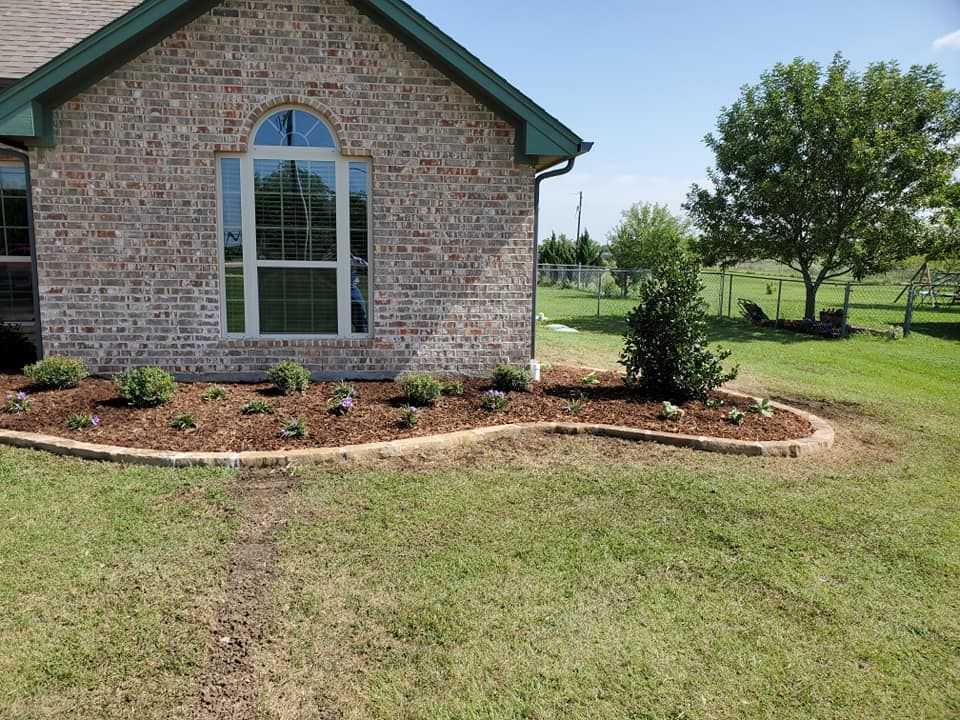 Newly planted plants