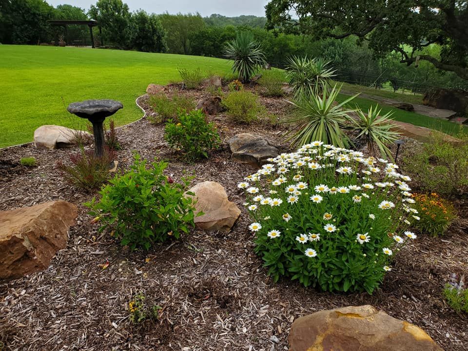 Lush residential garden 
