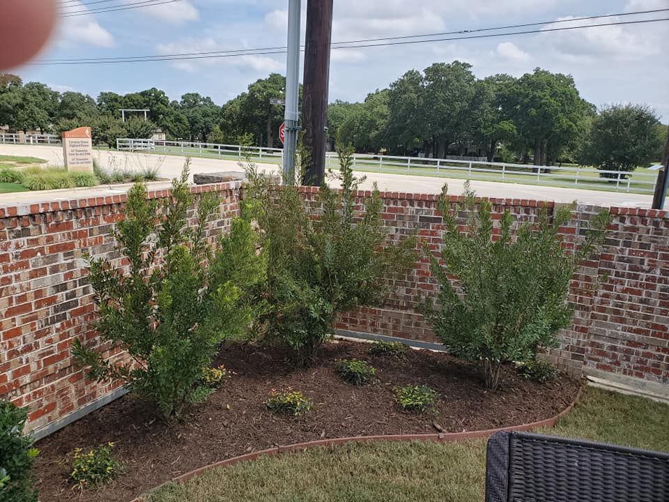 Well maintained front yard