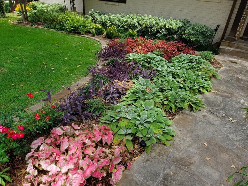 Carefully selected plantings