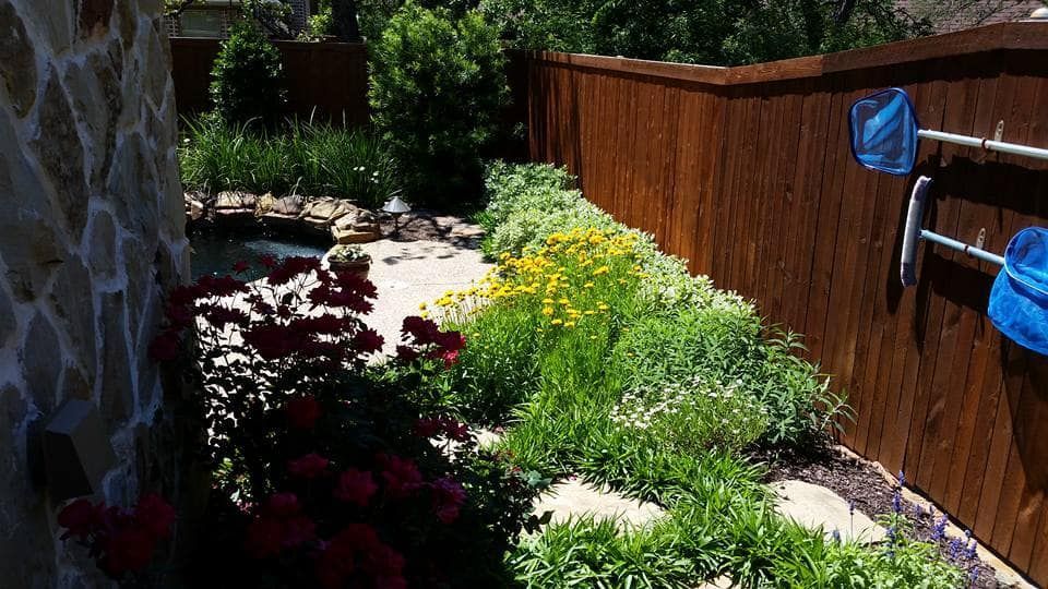 Beautiful front yard landscaping