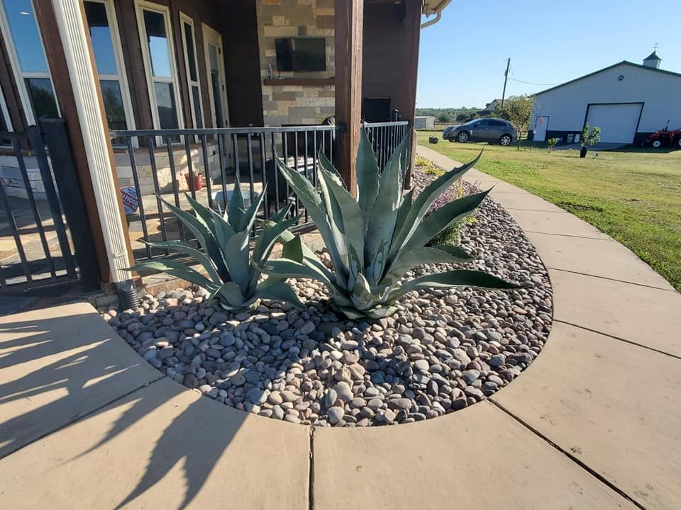 Beautiful front yard landscaping