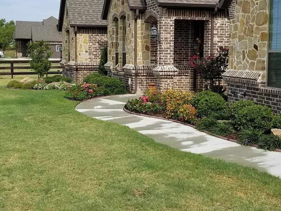 Beautiful front yard