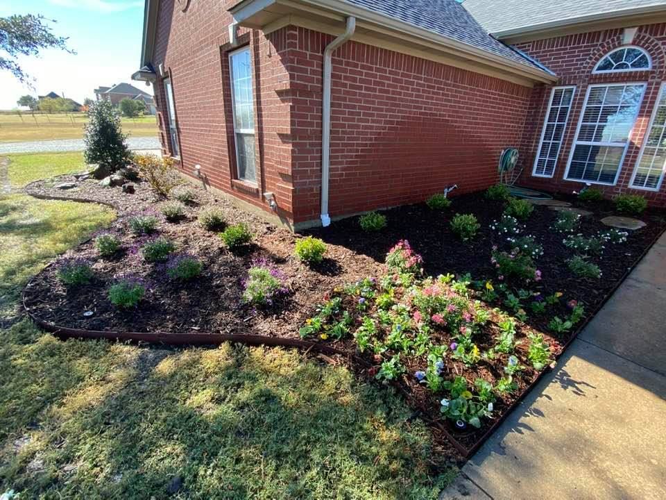 Beautiful front yard