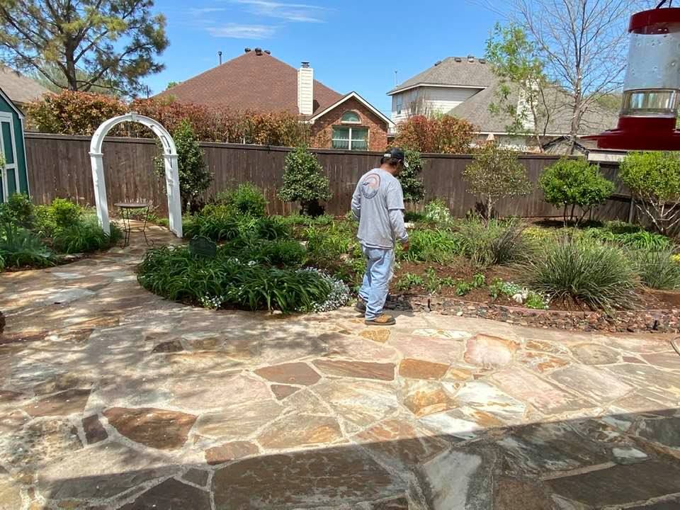 Beautiful front yard