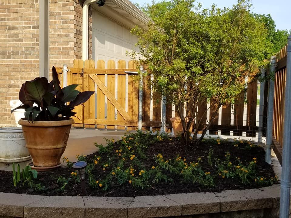 Beautiful front yard