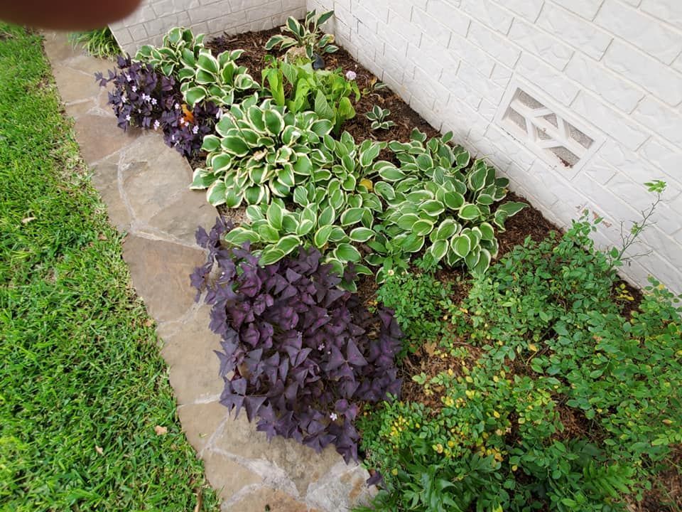 Beautiful front yard