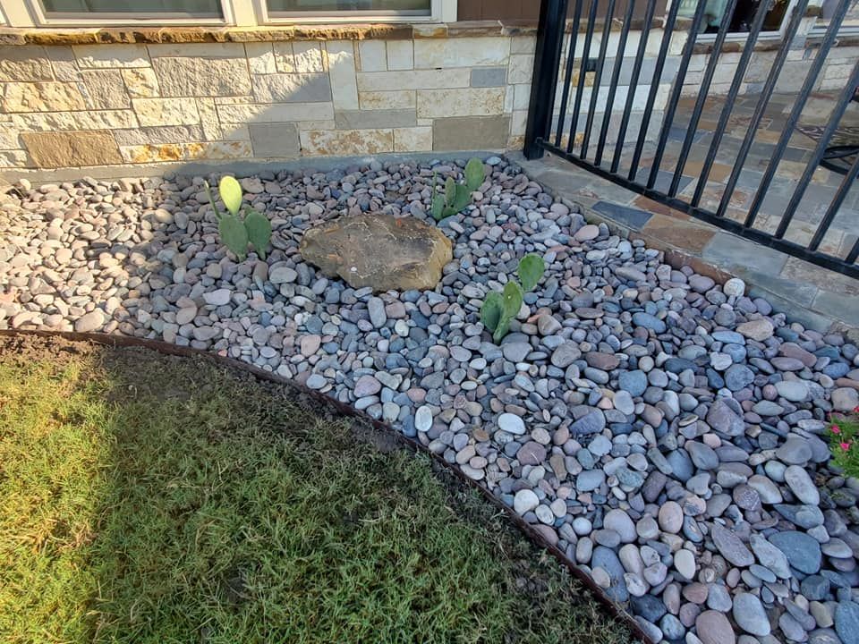 Beautiful front yard