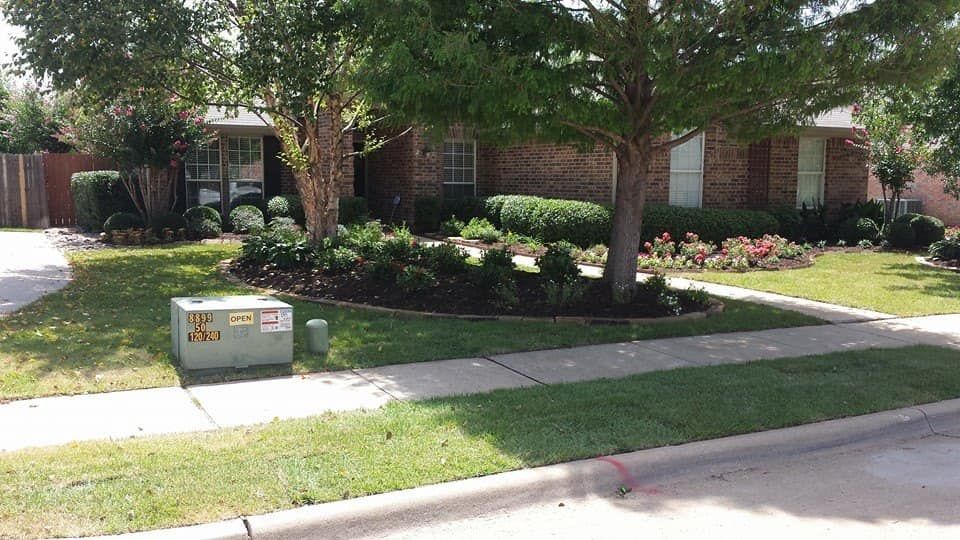 Beautiful front yard