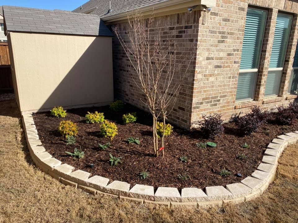 Beautiful front yard