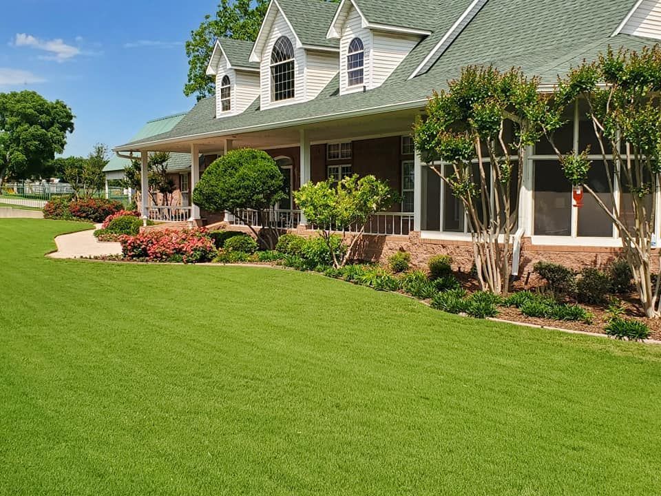 Beautiful front yard