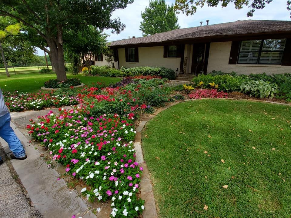 Beautiful front yard
